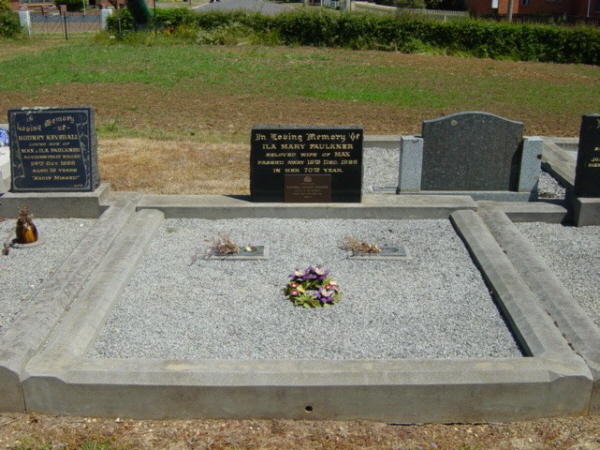 Full-size image