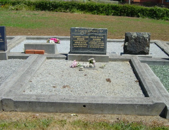Full-size image