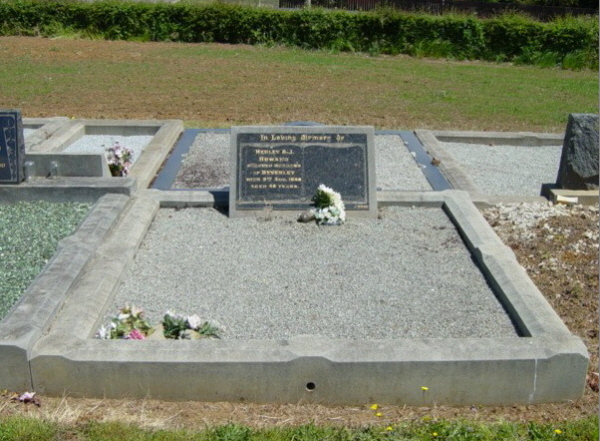Full-size image