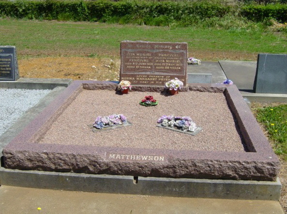 Full-size image