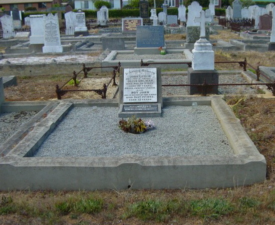 Full-size image
