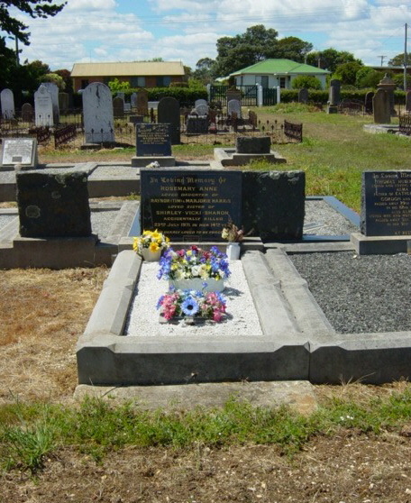 Full-size image