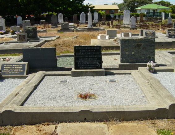 Full-size image