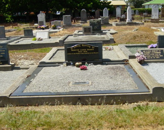 Full-size image