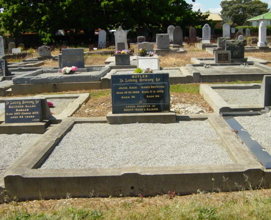 Full-size image