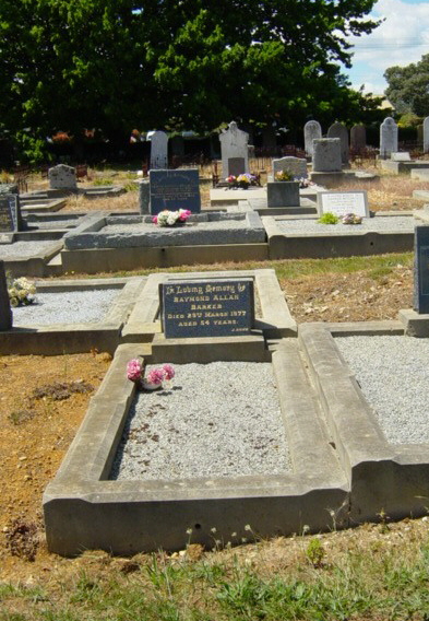 Full-size image