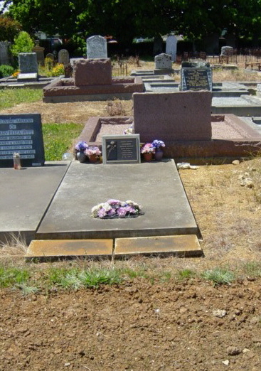 Full-size image