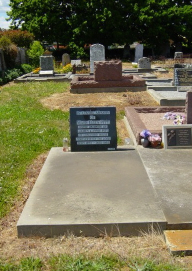 Full-size image