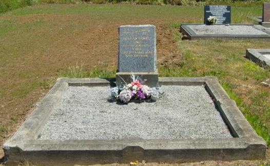Full-size image