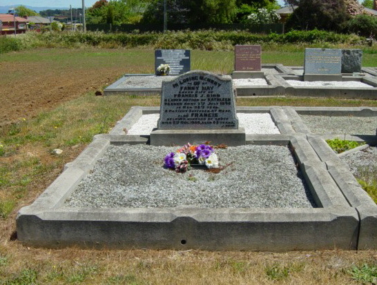 Full-size image