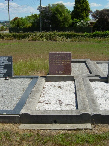 Full-size image
