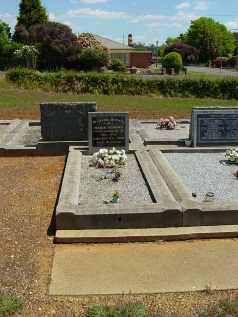 Full-size image