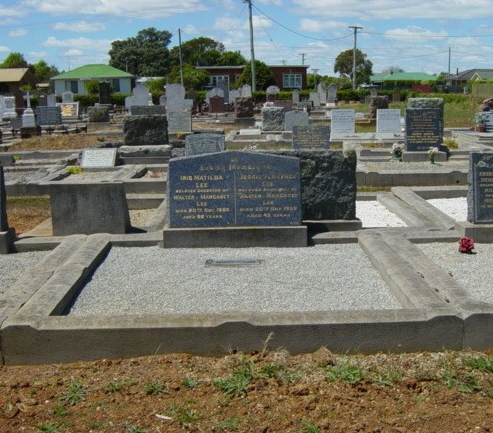 Full-size image