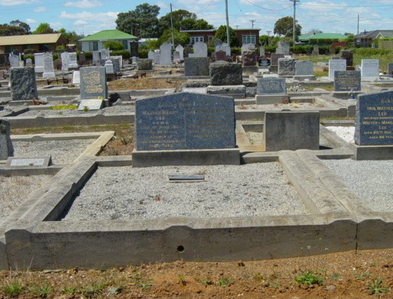 Full-size image