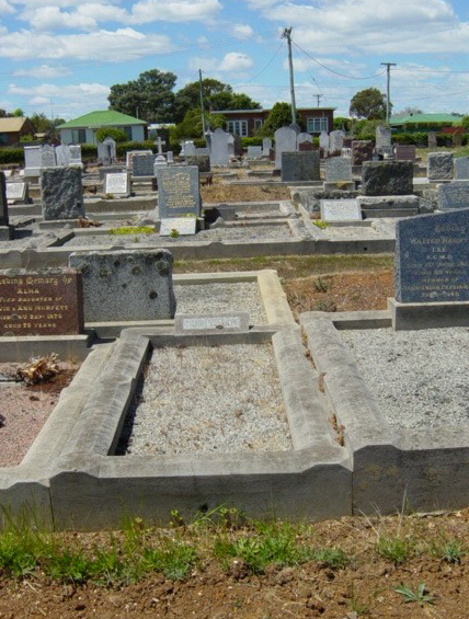 Full-size image