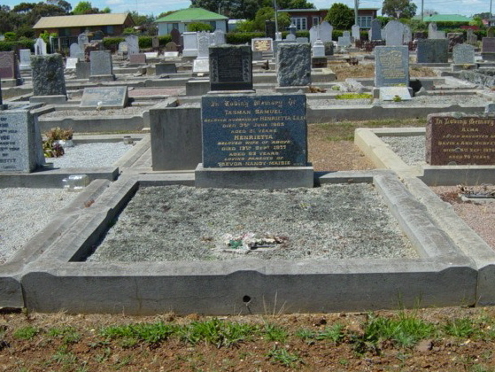 Full-size image