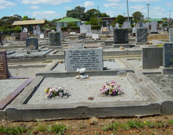 Full-size image