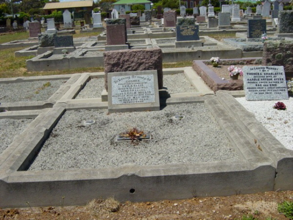 Full-size image
