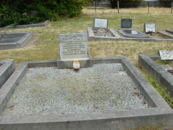 Full-size image