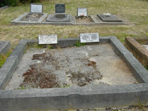 Full-size image
