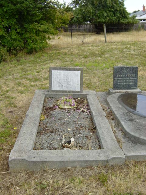 Full-size image