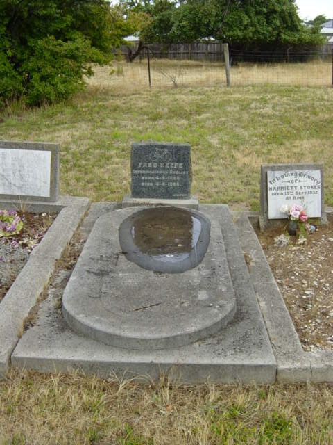 Full-size image