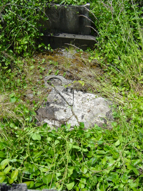 Full-size image