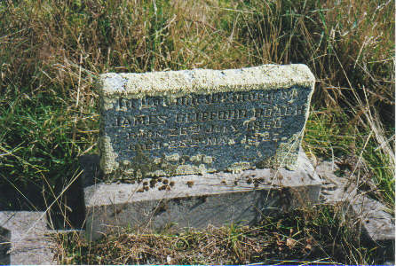 Full-size image