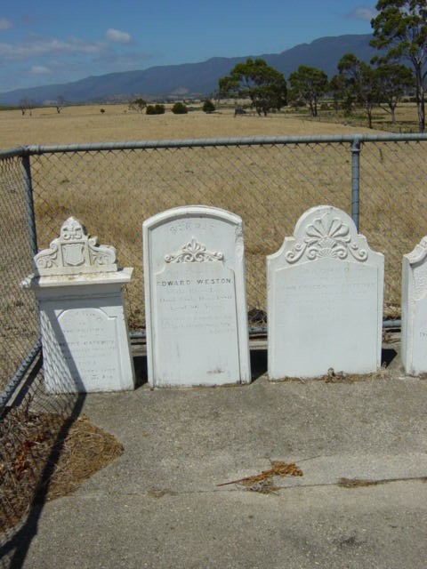 Full-size image