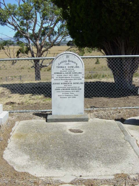 Full-size image