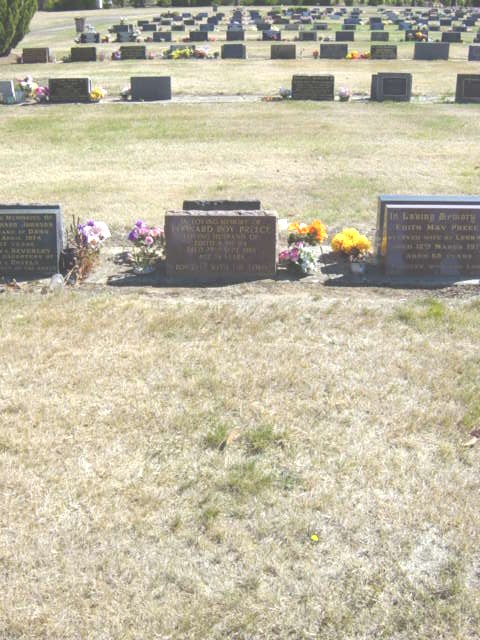 Full-size image
