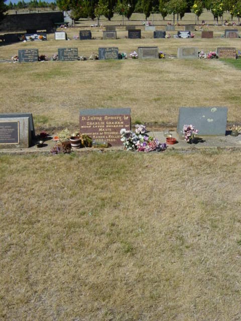 Full-size image