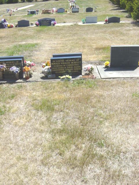 Full-size image