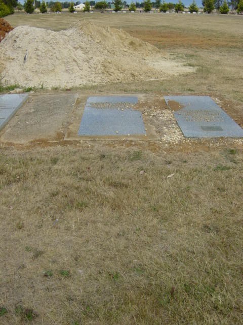 Full-size image