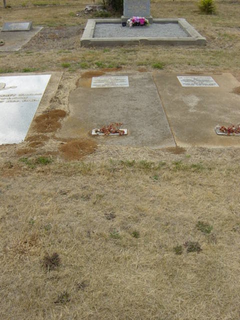 Full-size image