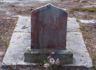 Full-size image