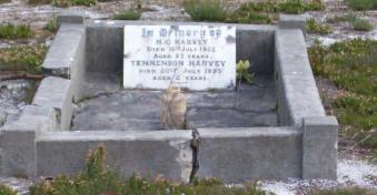 Full-size image