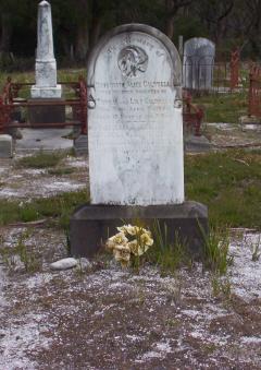 Full-size image