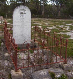 Full-size image