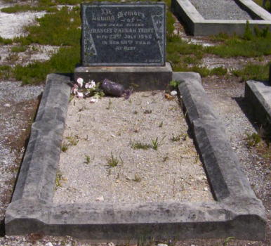 Full-size image