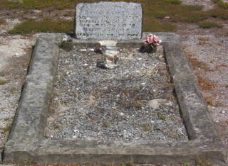 Full-size image