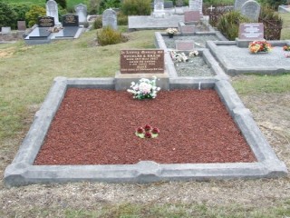 Full-size image