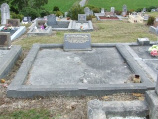 Full-size image
