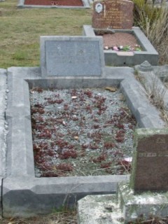 Full-size image