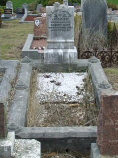 Full-size image