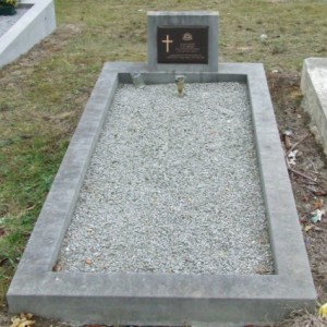 Full-size image