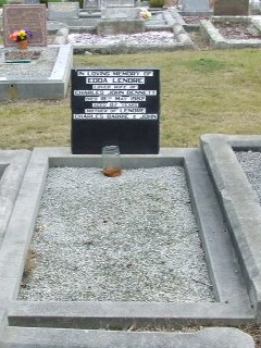 Full-size image