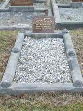 Full-size image