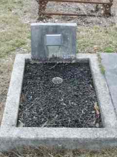 Full-size image