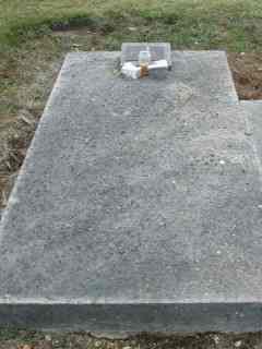Full-size image